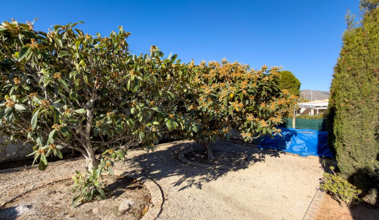 20251125_093544759_iOS