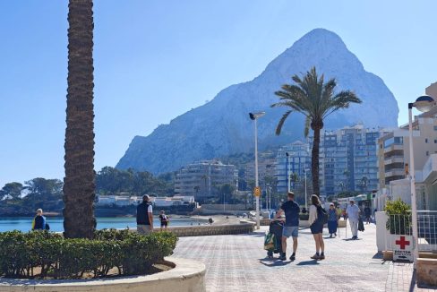 MVIMG_20260224_131042