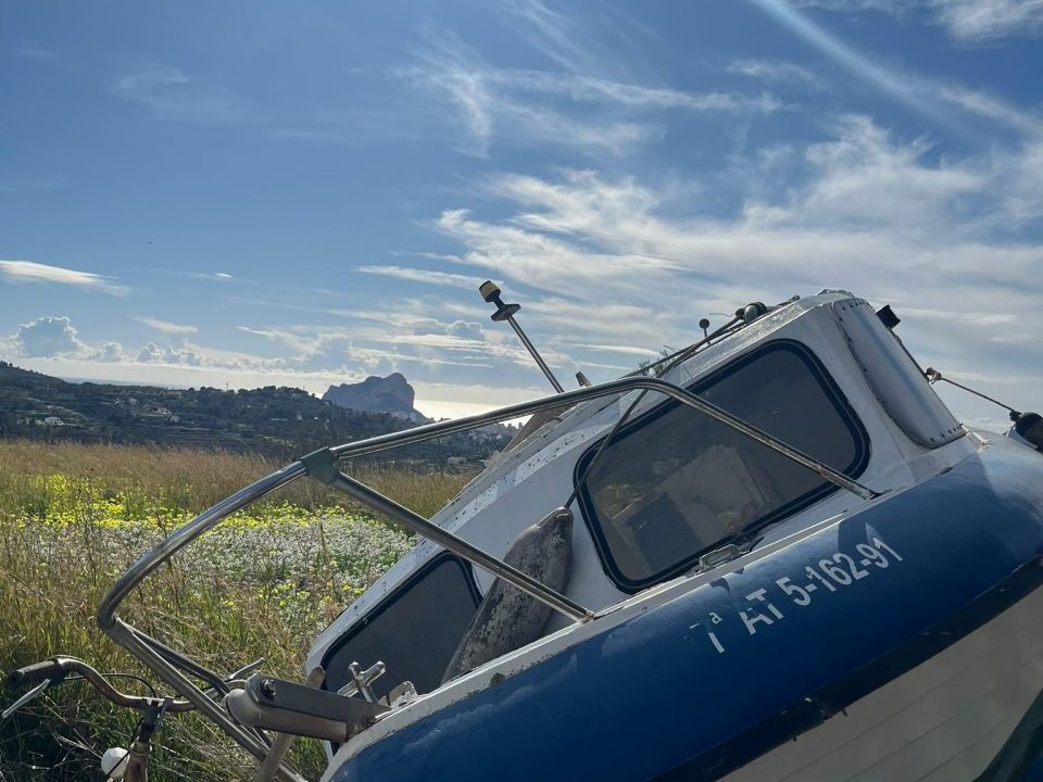 WhatsApp Image 2026-02-05 at 12.02.33 (1)