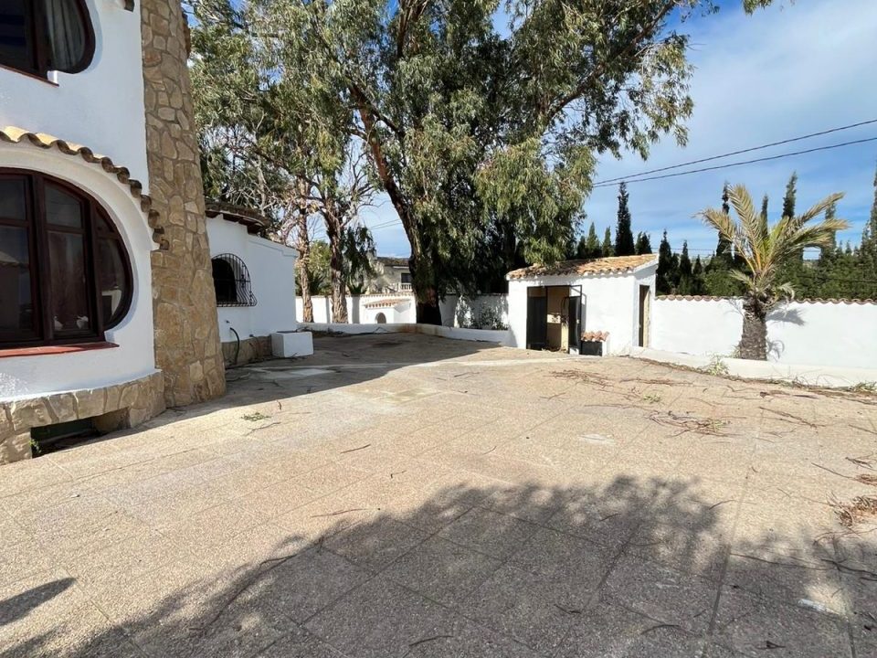 WhatsApp Image 2026-02-05 at 12.02.33