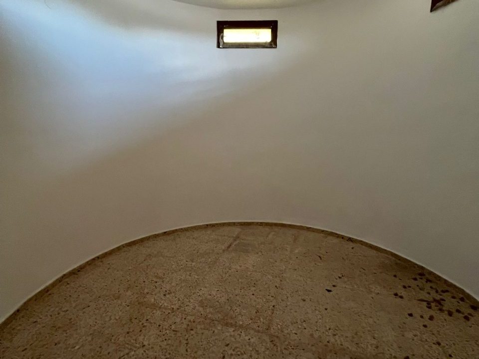 WhatsApp Image 2026-02-05 at 12.02.36 (2)