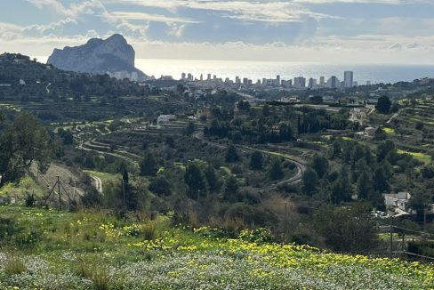 WhatsApp Image 2026-02-05 at 12.02.37 (1)