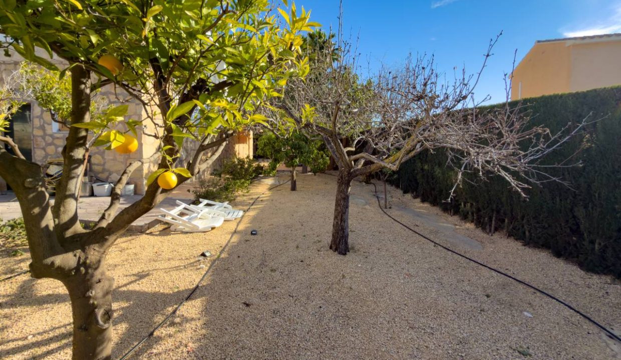 20260220_091513102_iOS