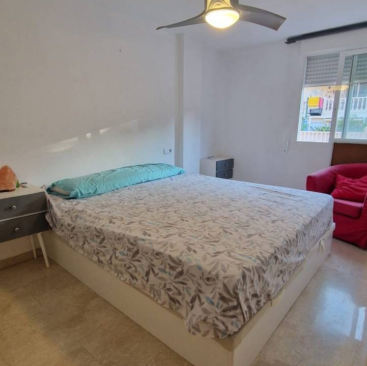 WhatsApp Image 2026-02-24 at 12.56.11 (4)